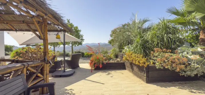 Sale of finca - cortijo in Tolox 2