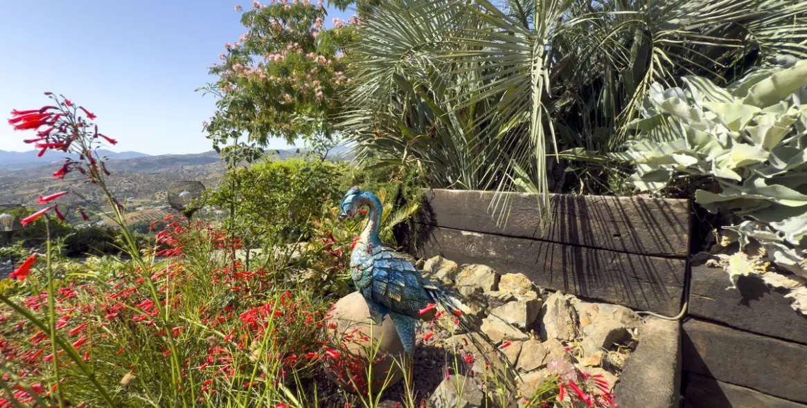 Sale of finca - cortijo in Tolox 4