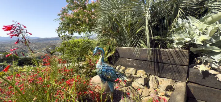 Sale of finca - cortijo in Tolox 3