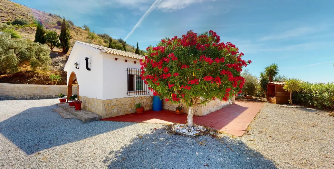 Sale of detached villa in El Borge 7