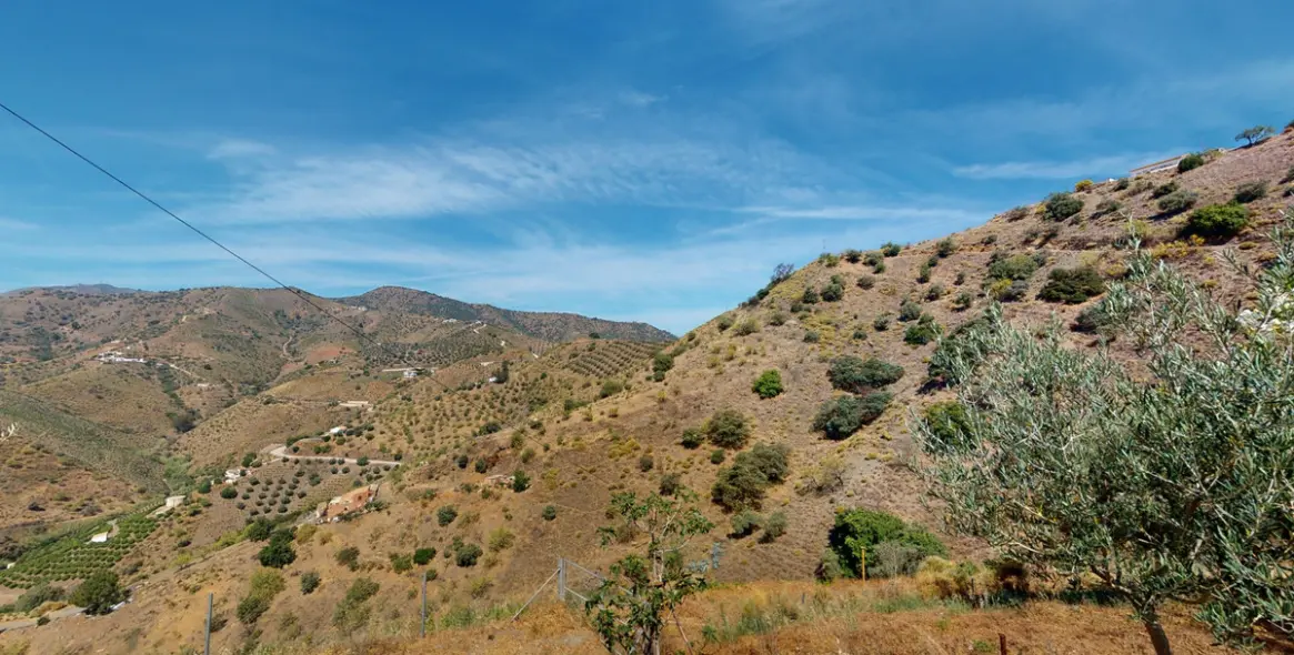 Продажа  отдельно стоящей виллы в El Borge 37