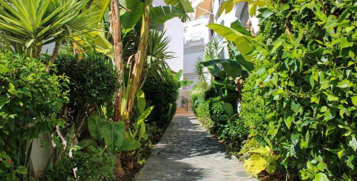 Sale of middle floor apartment in Nerja 29