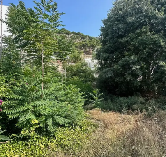 Продажа  жилого участка в Mijas