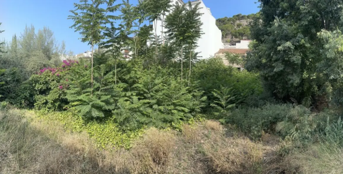 Продажа  жилого участка в Mijas 2