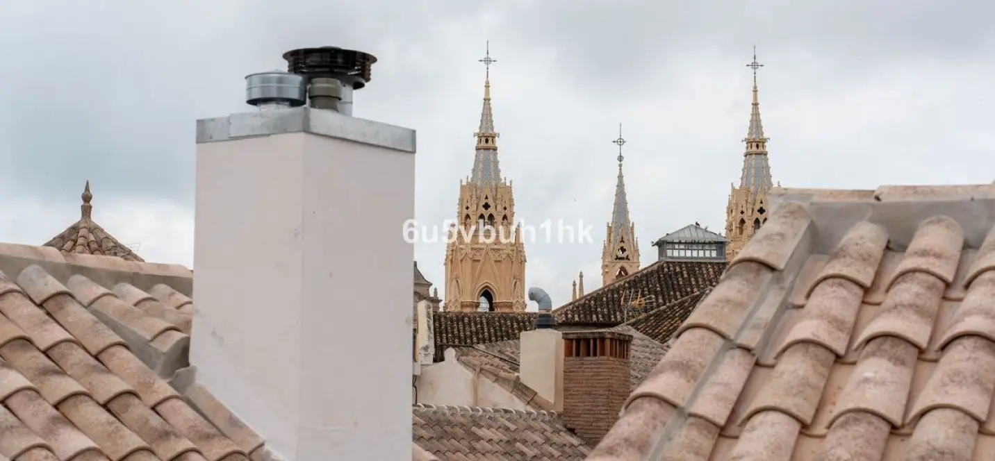 Sale of ground floor apartment in Málaga Centro 4