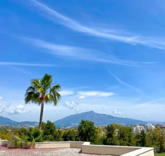 Sale of townhouse in Atalaya