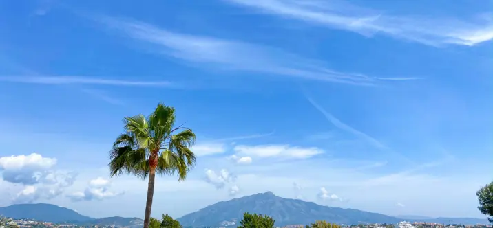 Sale of townhouse in Atalaya 4