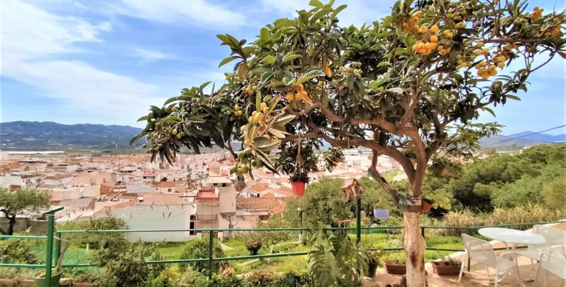 Sale of detached villa in Vélez-Málaga 1