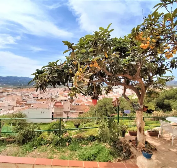 Sale of detached villa in Vélez-Málaga