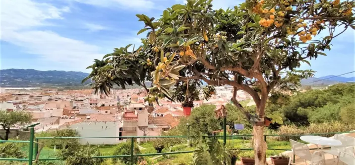 Sale of detached villa in Vélez-Málaga 0