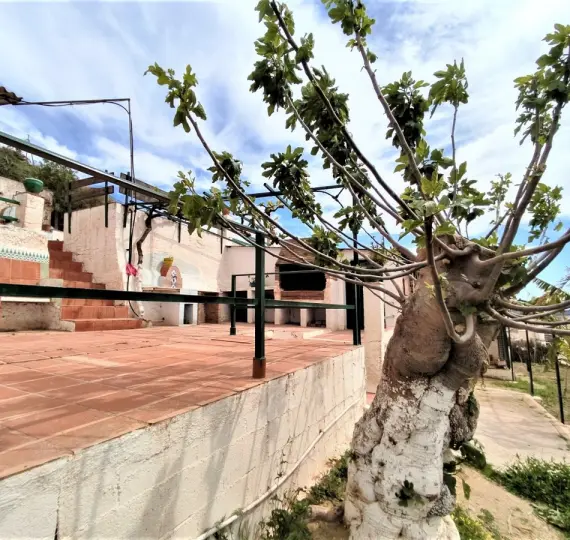 Sale of detached villa in Vélez-Málaga