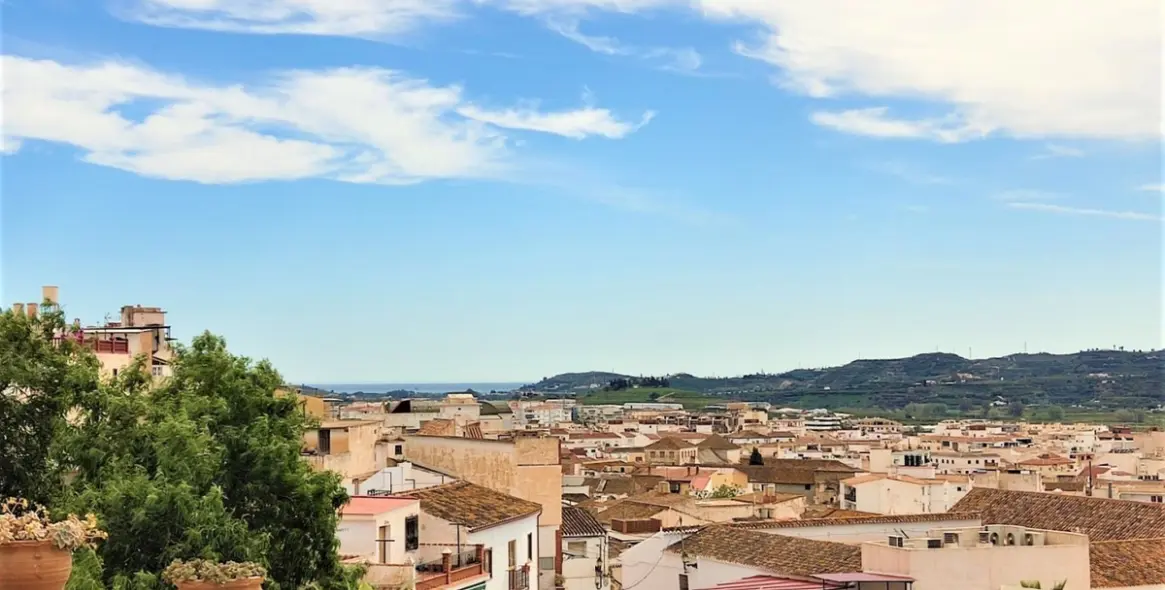 Sale of detached villa in Vélez-Málaga 7