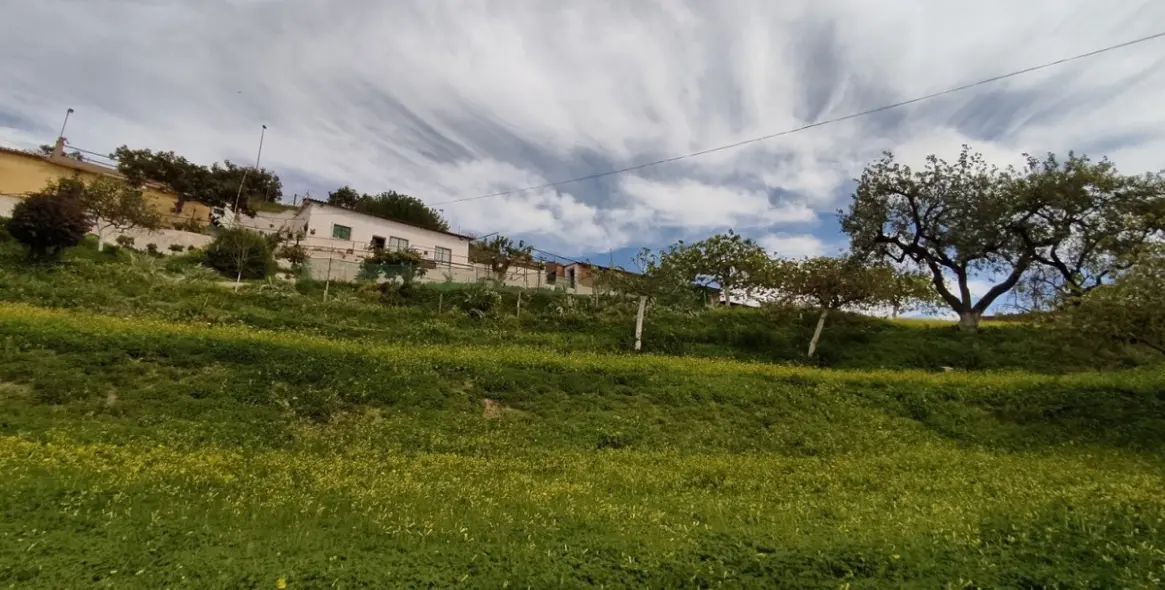 Sale of detached villa in Vélez-Málaga 12