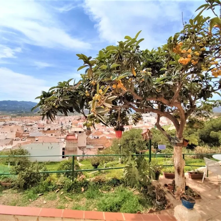 Venta de villa independiente en Vélez-Málaga