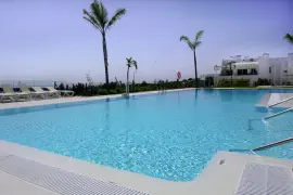 Image 4 thumb