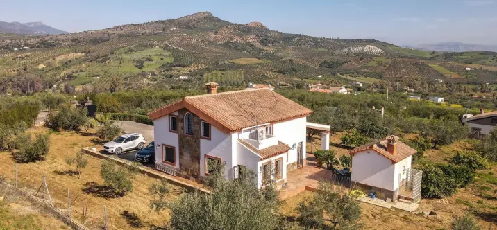 Sale of detached villa in Guaro 2