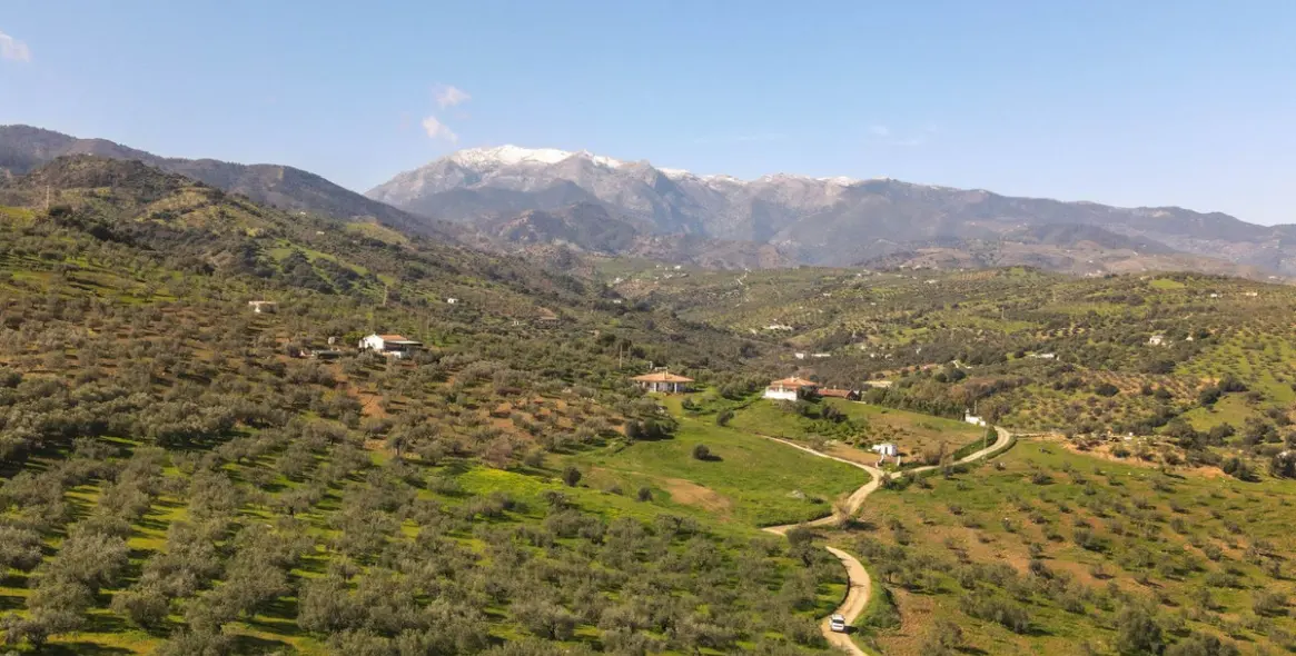 Продажа  отдельно стоящей виллы в Guaro 57