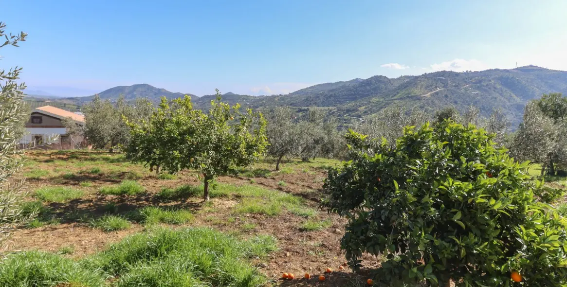 Продажа  отдельно стоящей виллы в Guaro 64