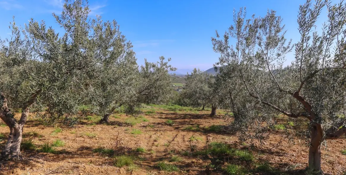 Продажа  отдельно стоящей виллы в Guaro 67