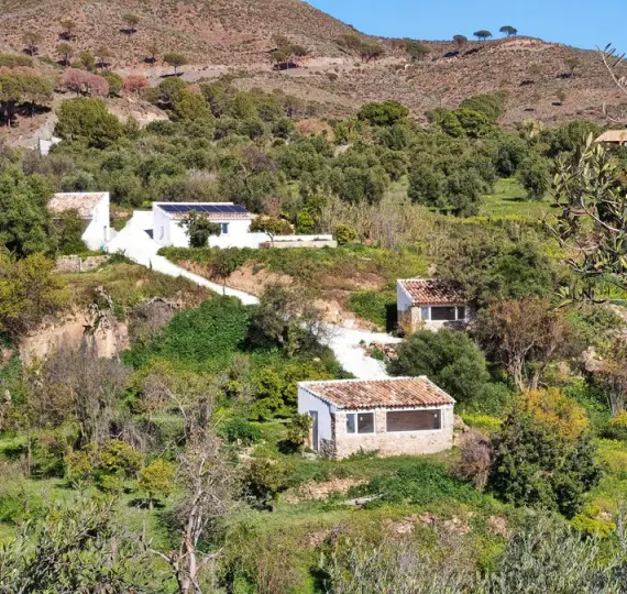 Sale of finca - cortijo in Casarabonela