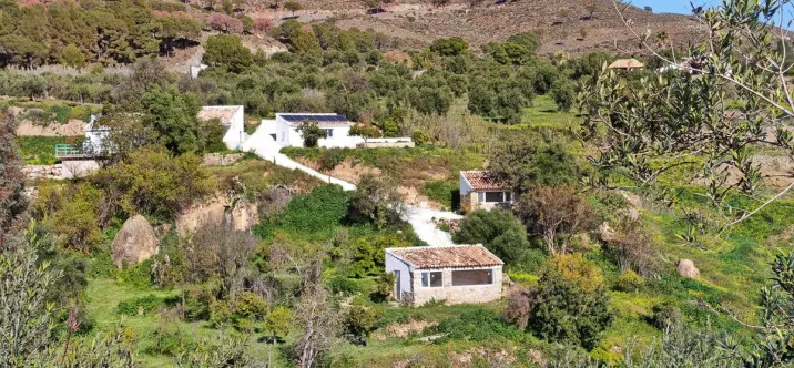 Sale of finca - cortijo in Casarabonela 0