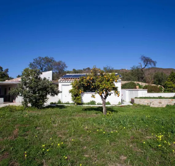 Sale of finca - cortijo in Casarabonela