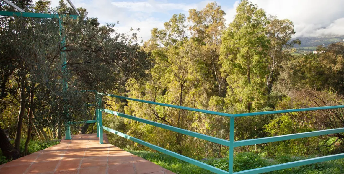 Sale of finca - cortijo in Casarabonela 14