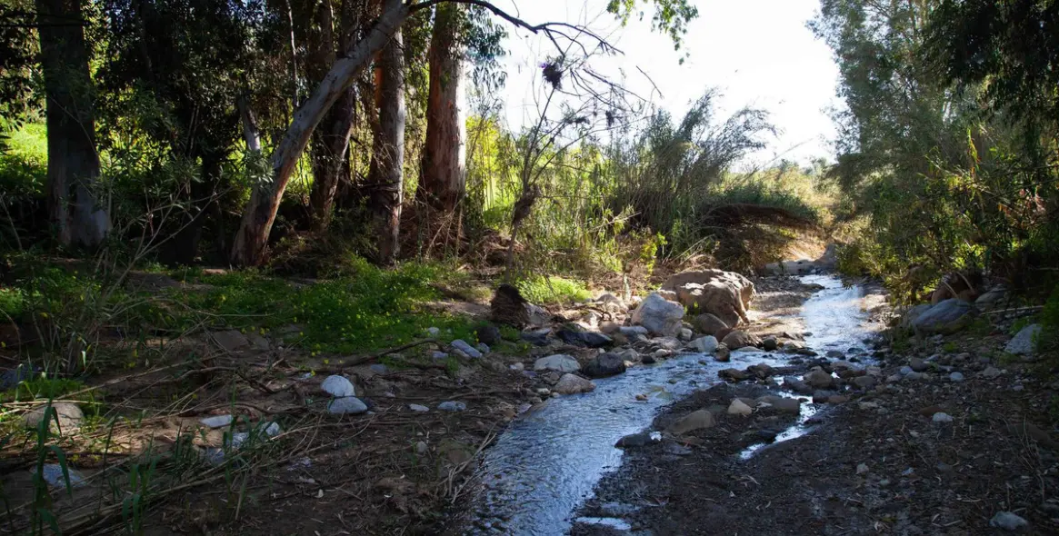 Sale of finca - cortijo in Casarabonela 15