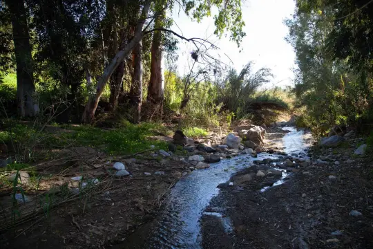 Image 15 thumb