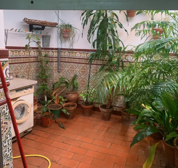Sale of townhouse in Estepona