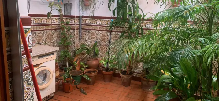 Sale of townhouse in Estepona 2