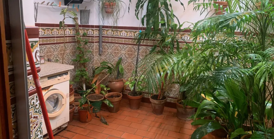 Venta de adosado en Estepona 3