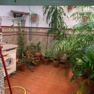 Venta de adosado en Estepona