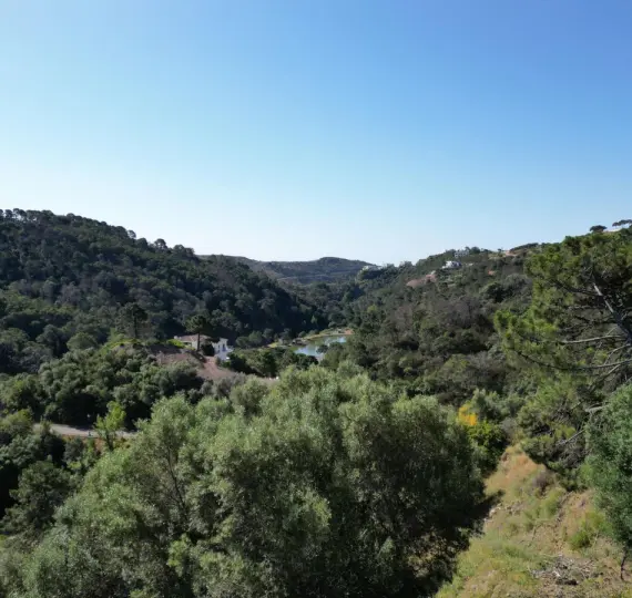 Продажа  жилого участка в Benahavís