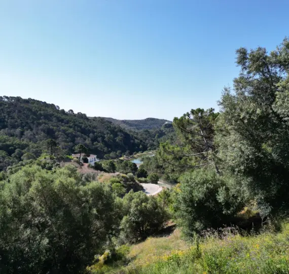 Продажа  жилого участка в Benahavís