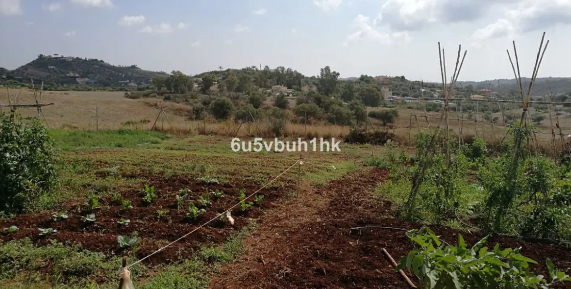 Sale of finca - cortijo in Entrerrios 13
