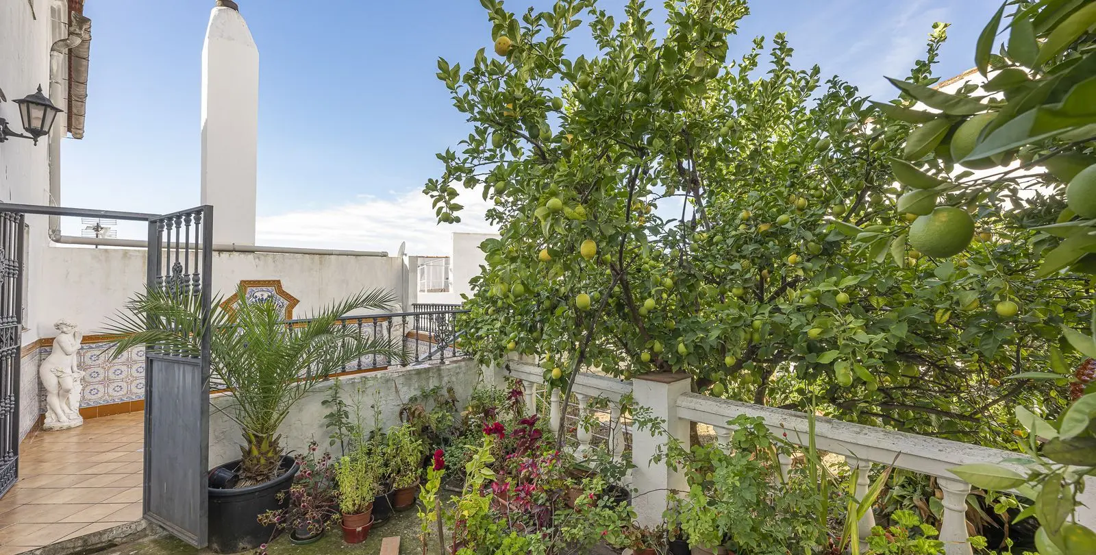 Sale of townhouse in Gaucín 35