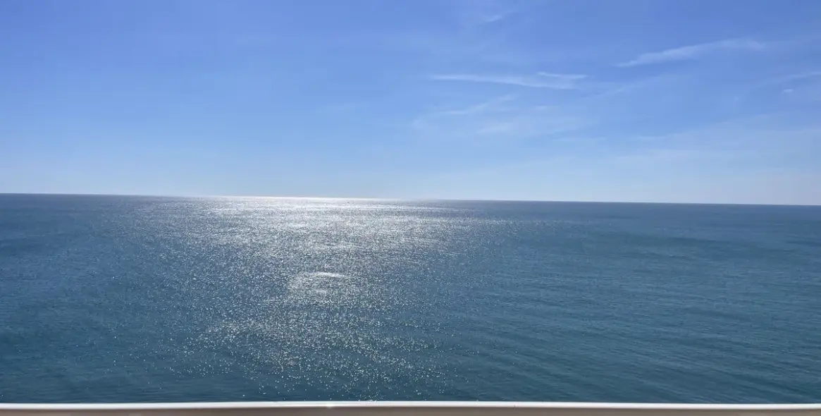 Sale of penthouse in Casares Playa 4