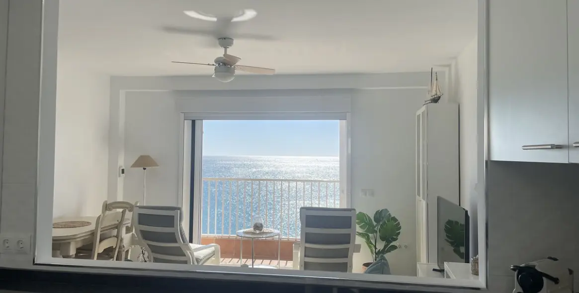 Sale of penthouse in Casares Playa 8