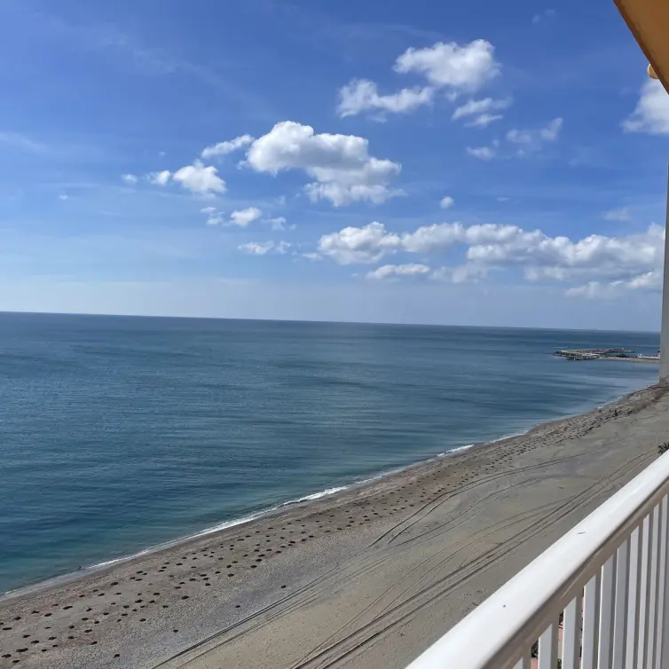 Продажа пентхауса в Casares Playa