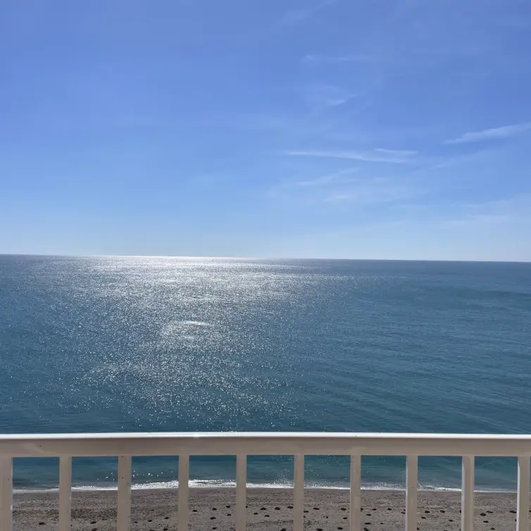 Продажа пентхауса в Casares Playa