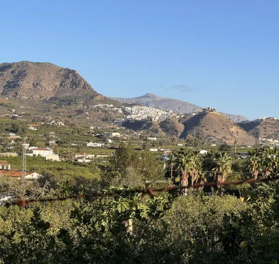 Sale of finca - cortijo in Pizarra