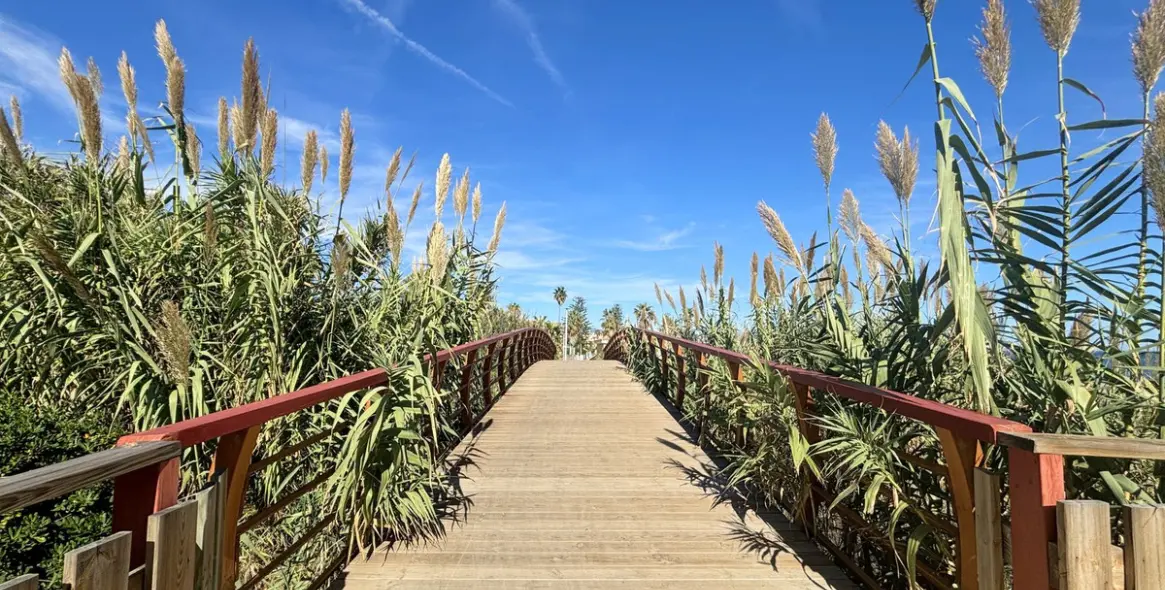 Sale of penthouse in Estepona 25