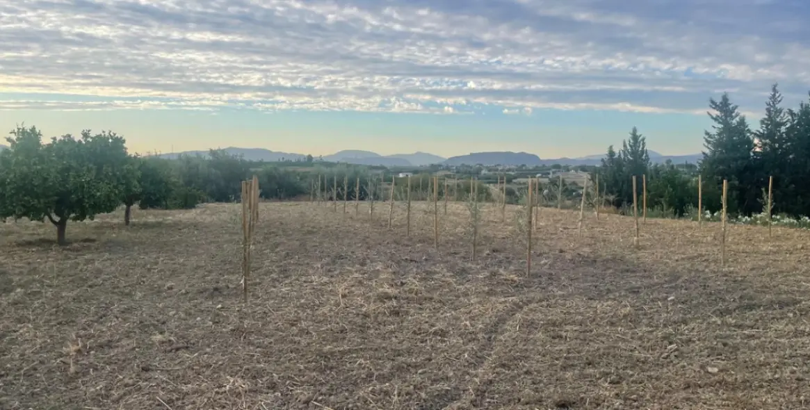 Sale of detached villa in Alhaurín el Grande 20