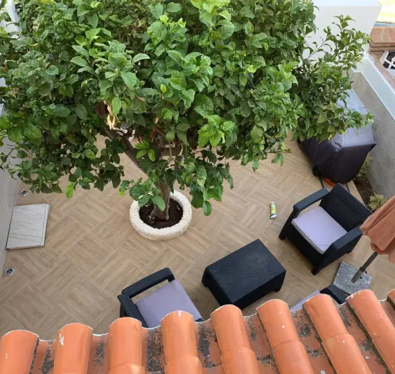 Продажа таунхауса в Arroyo de la Miel