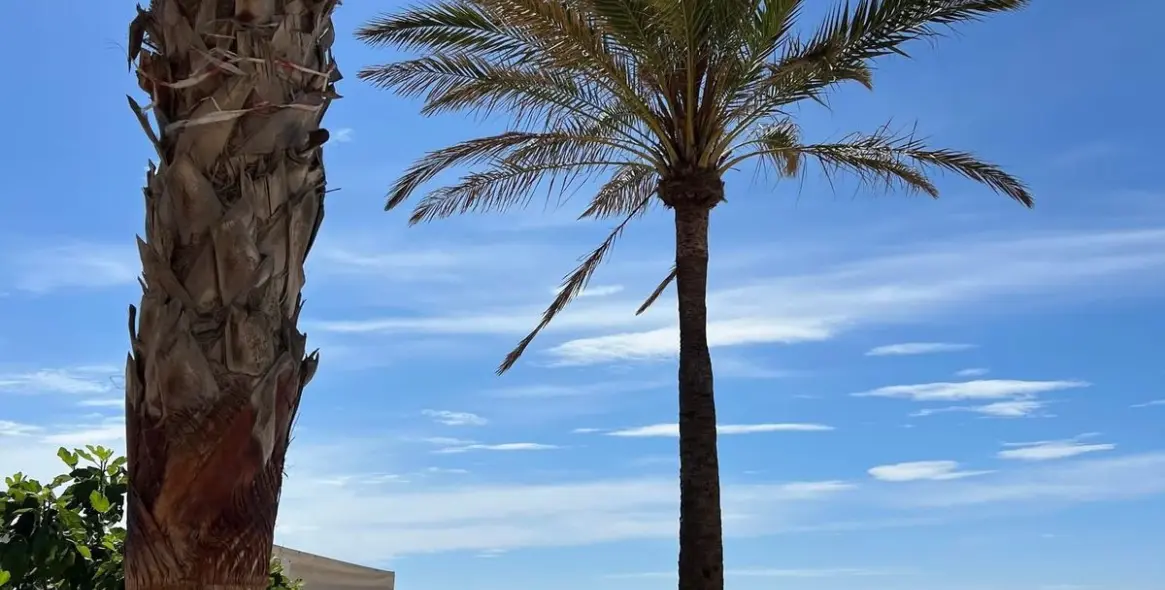 Продажа апартаментов на среднем этаже в Los Boliches 20