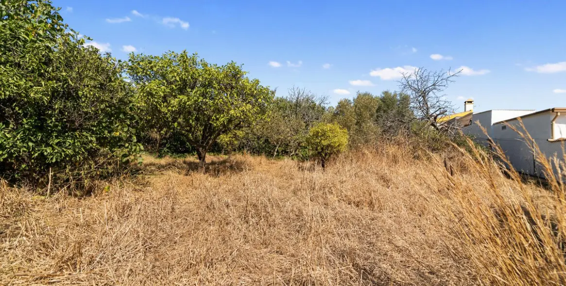 Продажа  отдельно стоящей виллы в Mijas 25