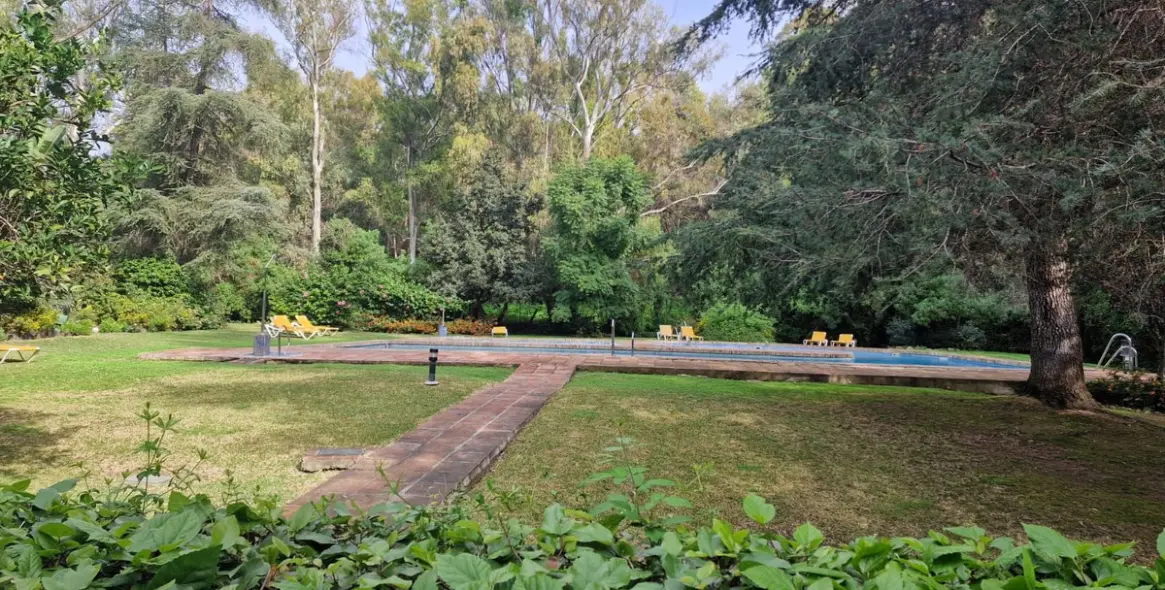 Sale of middle floor apartment in Nueva Andalucía 31