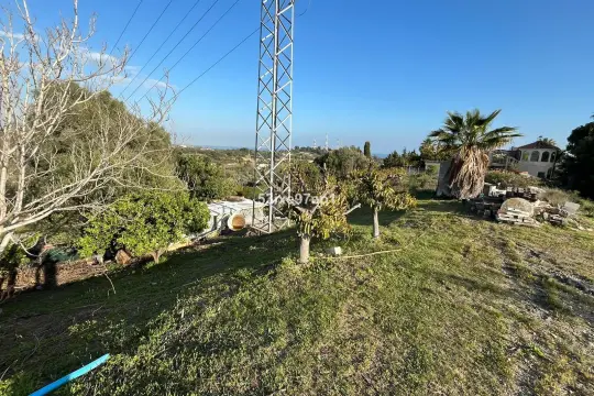 Image 4 thumb