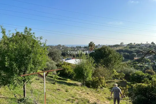 Image 5 thumb